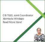 Abimbola Windapo, Joint Coordinator, TG81 Global Construction Data