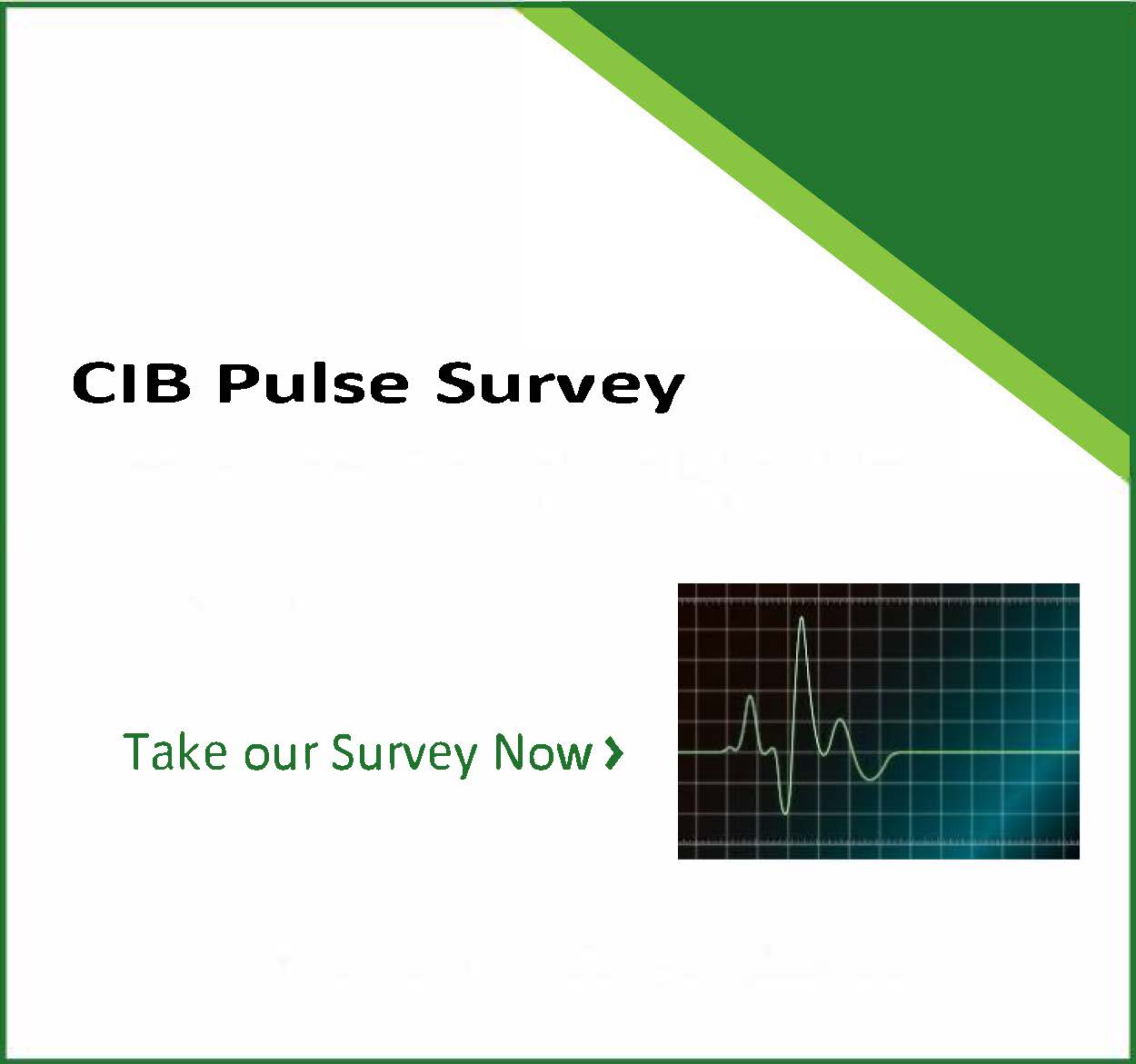 CIB Pulse: Impacts of the Pandemic on the Construction and Built Environment Sector
