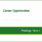 Career Opportunities Page – CIB Website