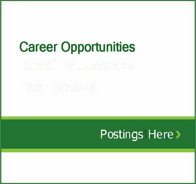 Career Opportunities Page – CIB Website