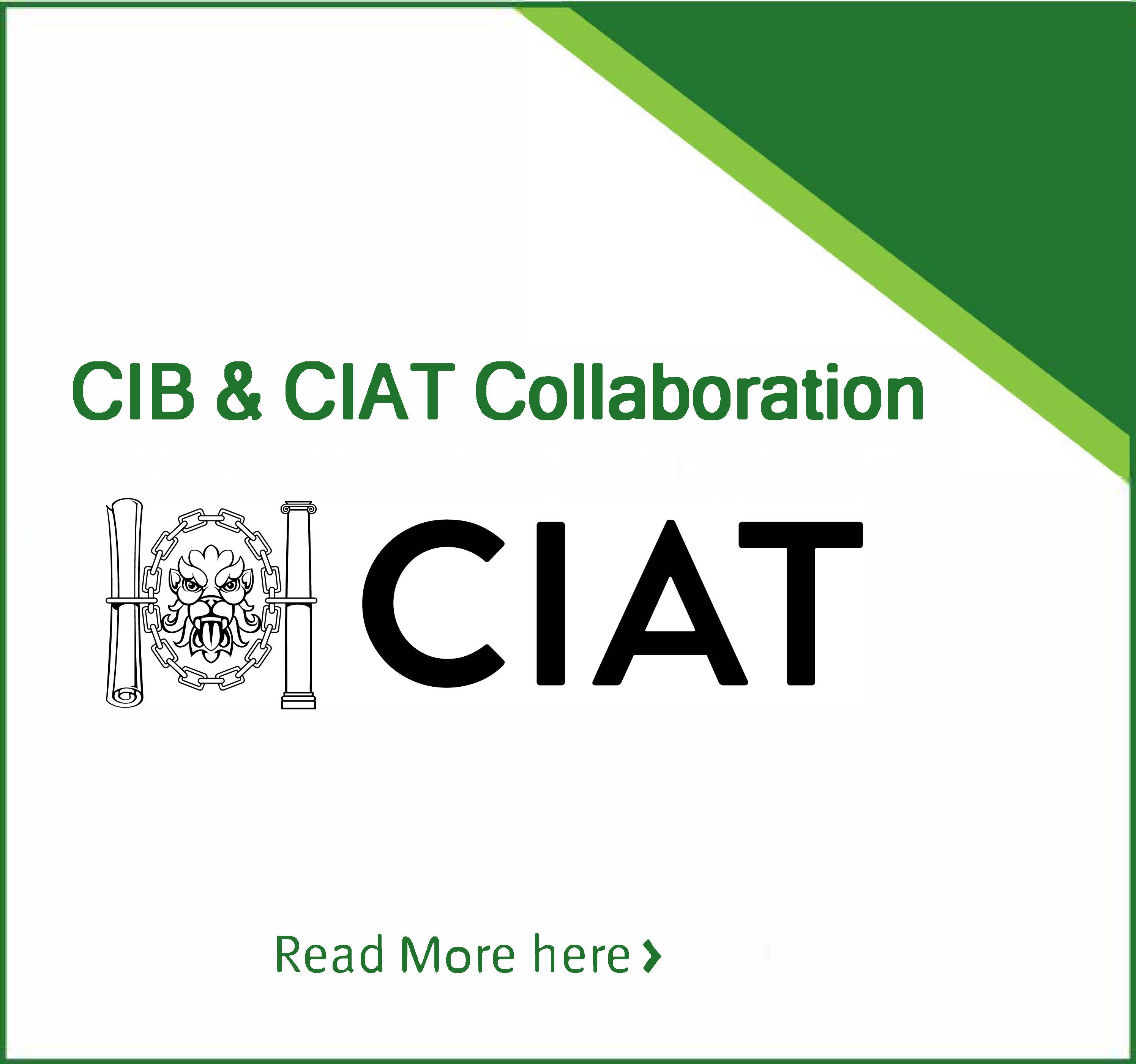 CIB & CIAT Collaboration