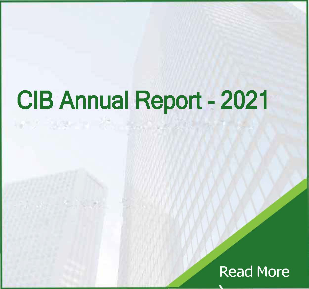 CIB Annual Report 2021 - CIB
