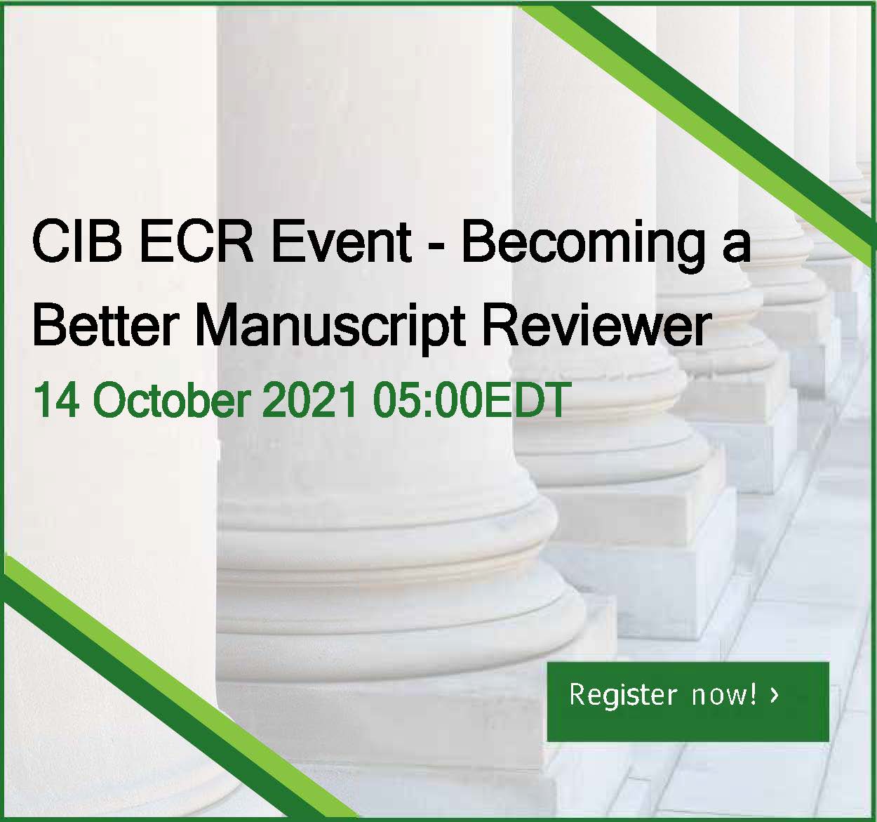 CIB ECR Event – Becoming a Better Manuscript Reviewer, Event Planning