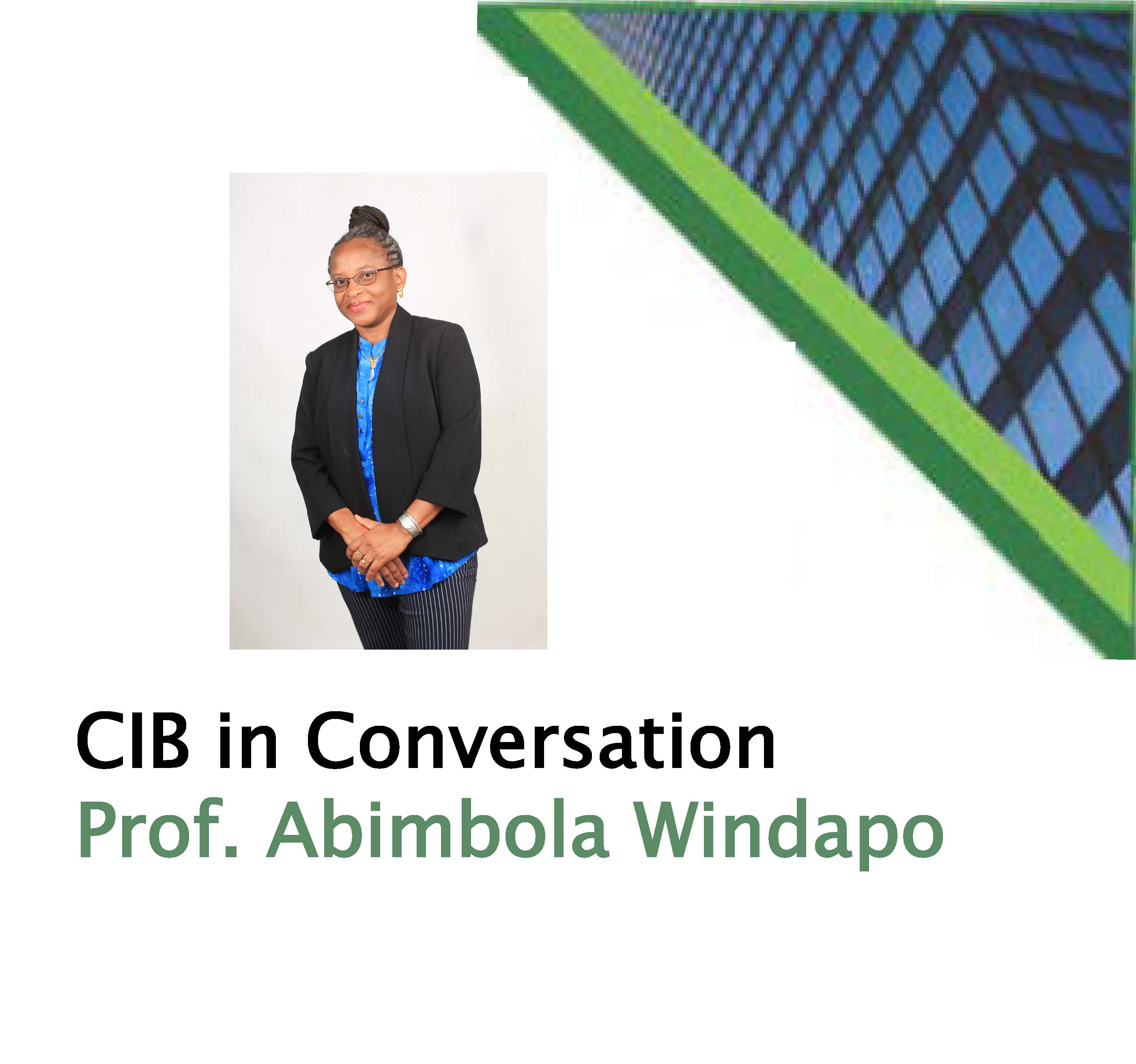 CIB in Conversation – Professor Abimbola Windapo